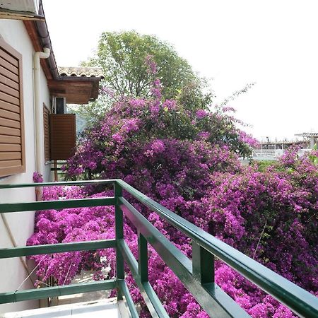 Villa Marko Dhërmi Extérieur photo